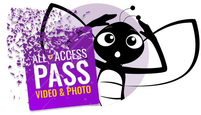 Get DanceBUG All-Access Pass